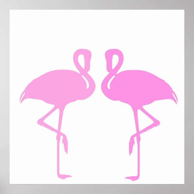 Póster Flamingos Rosa (Frente)