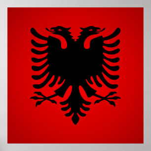 Póster Flamuri i shqiperise