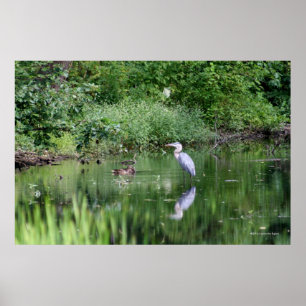 Póster Flashes do tempo perto em um minuto - da