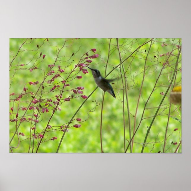 Poster Fleeting Summer Friend (Frente)