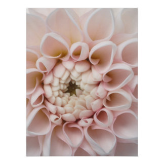 Póster fleur