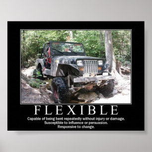 PÓSTER FLEXÍVEL