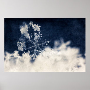 Póster Floco da neve