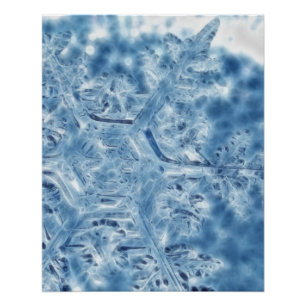 Póster Floco de neve congelado do Fractal do cristal de