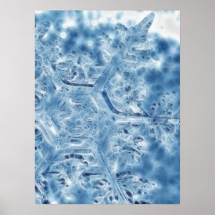 Poster Floco de neve congelado do Fractal do cristal de