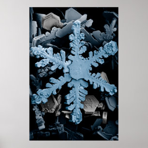 Poster Floco de neve hexagonal magnificado