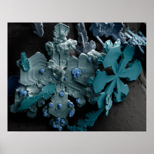 Póster Flocos de neve