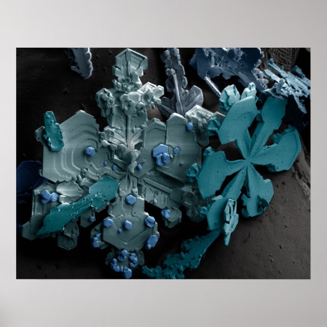 Póster Flocos de neve (Frente)