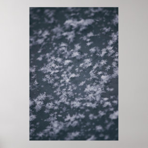 Poster Flocos de neve