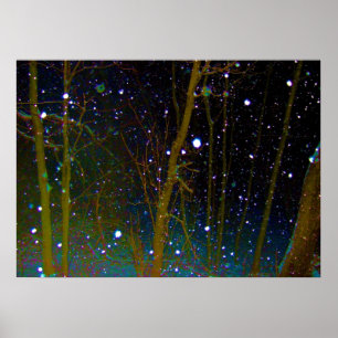 Póster Flocos de Neve nas Florestas