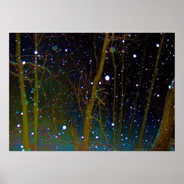 Póster Flocos de Neve nas  Florestas (Frente)