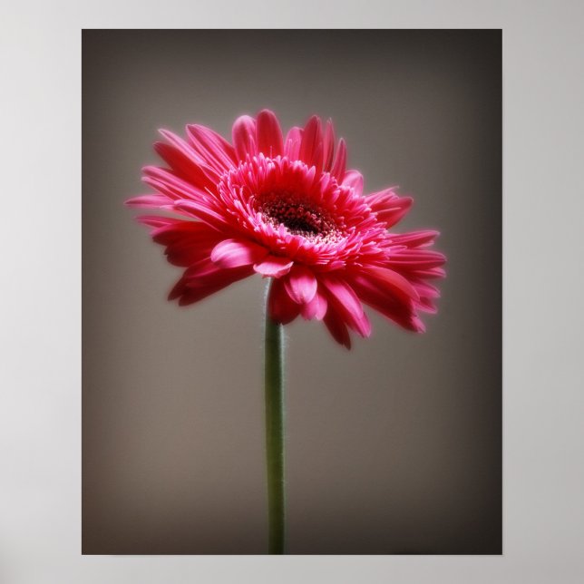 Poster Flor (Frente)