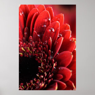 Póster Flor