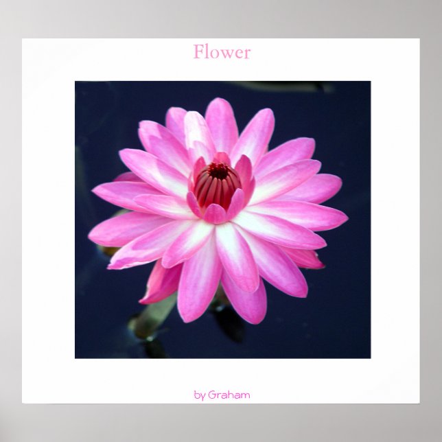 Póster Flor (Frente)