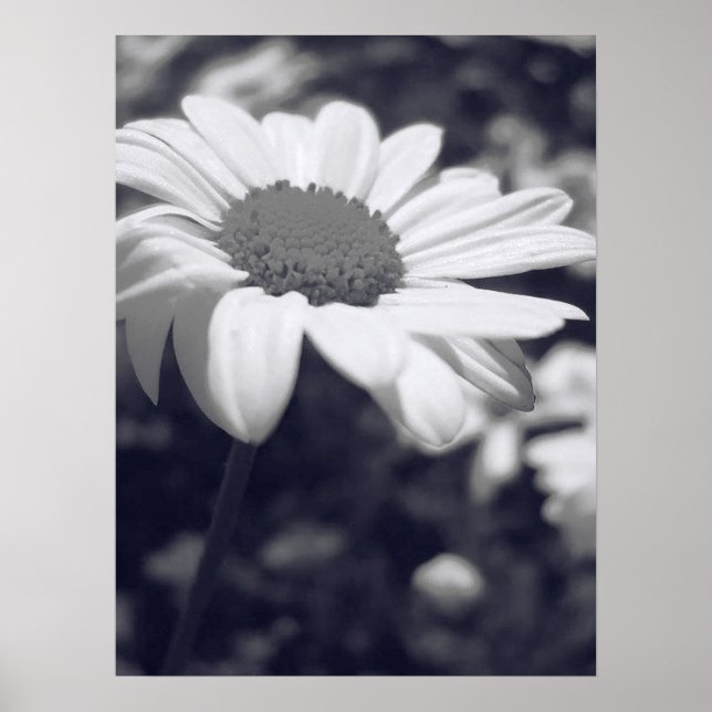 Poster Flor (Frente)