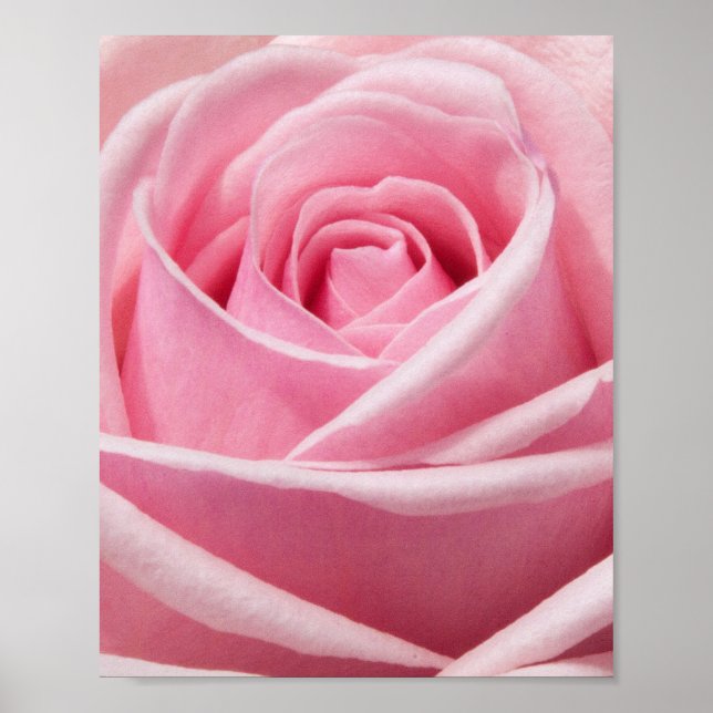 Poster Flor (Frente)