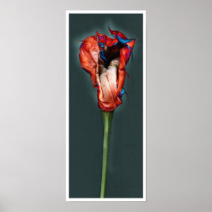 Poster Flor #5 da paixão