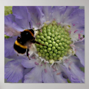 Poster Flor #6 (detalhe)