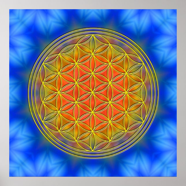 Poster Flor a vida motivo 13 (Frente)
