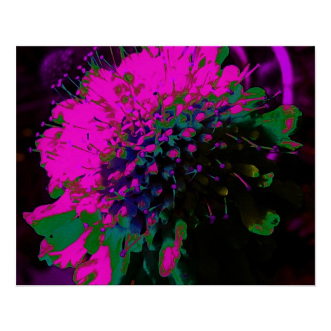 Póster Flor Abstrata Retro Cor-de-Rosa e Preta Trippy (Frente)