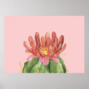 Poster Flor Adorável E Suculento