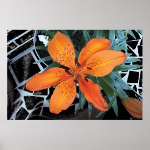 Poster Flor alaranjada com fundo