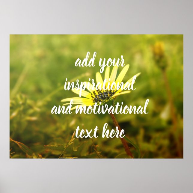 Poster Flor amarela (Frente)