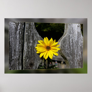 Poster Flor amarela bem-vinda