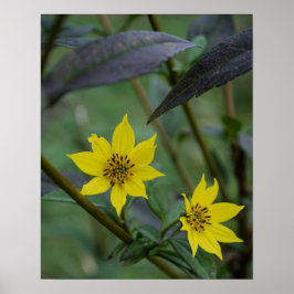 Poster Flor Amarela de Outono