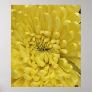 Poster Flor Amarelo