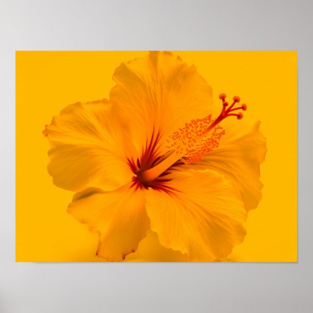 Poster Flor Amarelo (Frente)