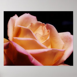 Póster Flor Amarelo de Rosebud inclinado