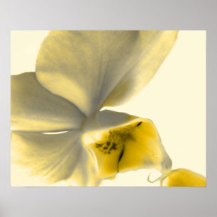 Póster Flor Artístico em Ossos Amarelos