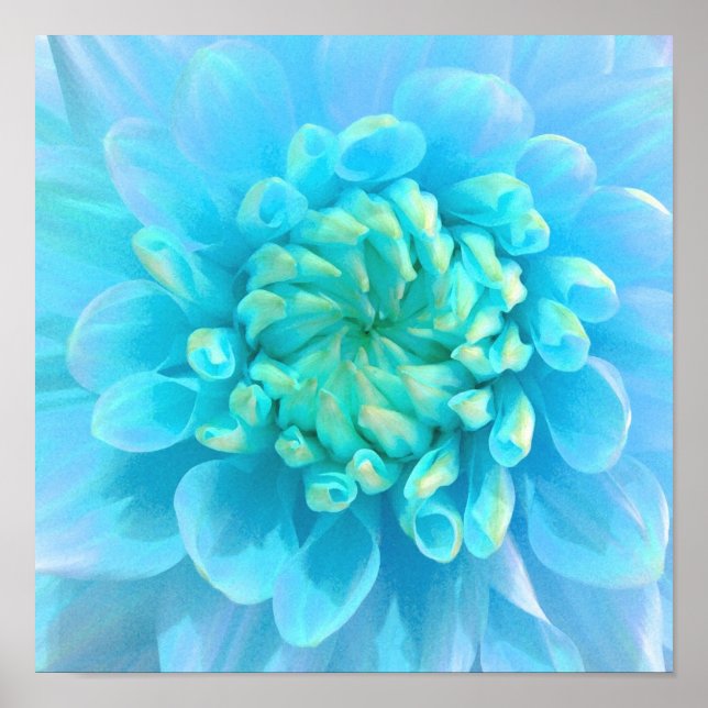 Póster Flor azul-turquesa em aquarela (Frente)