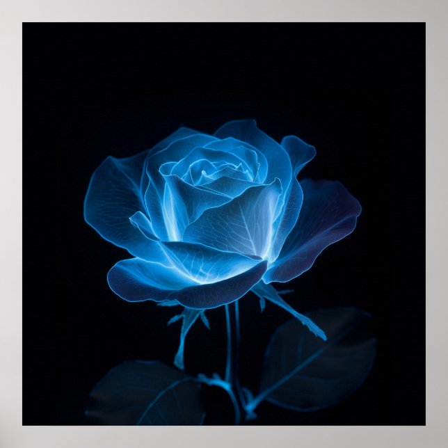 Poster Flor Bioluminescente Rosa Azul a Preto (Frente)
