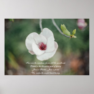Poster Flor Branca de Magnolia Japonesa com Hymn Antigo