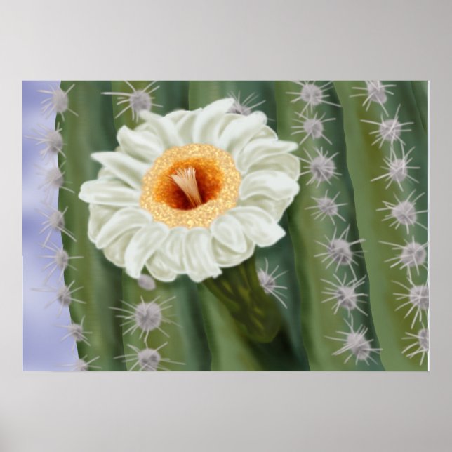 Poster Flor Branca de Saguaro Cactus Ilustrada (Frente)