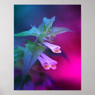 Poster Flor Branca Pequeno Fechado