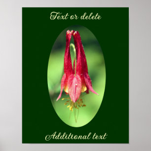 Poster Flor Columbina Selvagem Adicionar Seu Texto