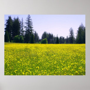 Póster Flor completa