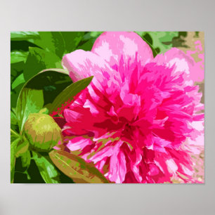 Póster Flor cor-de-rosa da peônia