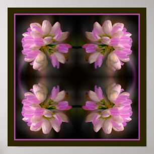 Poster Flor Cor-De-Rosa E Branco Fechar Abstrato