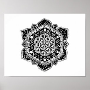 Póster Flor da mandala da vida