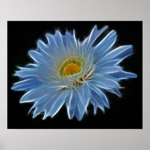 Póster Flor da margarida