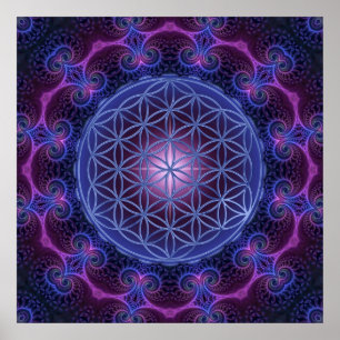 Póster FLOR DA Praça LIFE/Blume des Lebens Mandala II