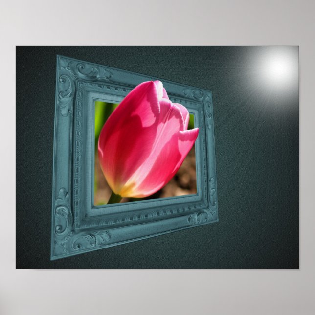 Póster Flor Da Tulipa Rosa Fora Do Quadro (Frente)