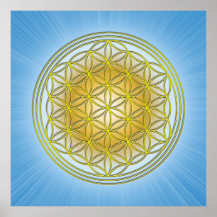 Póster Flor da vida