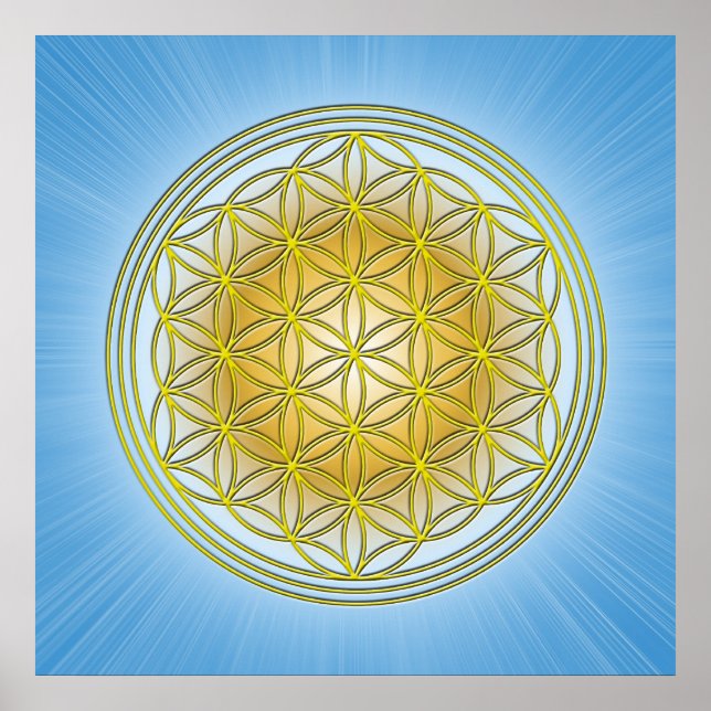 Póster Flor da vida (Frente)