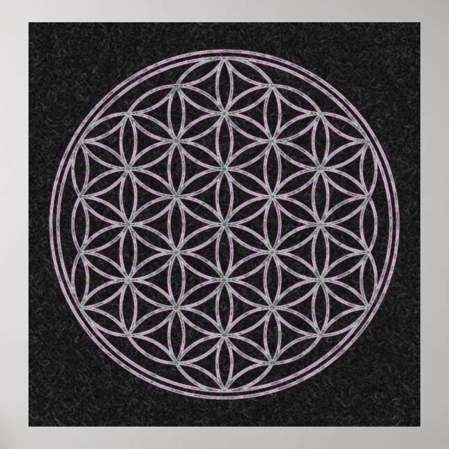 Poster Flor da Vida (Frente)