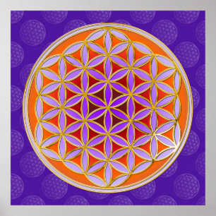 Poster Flor da vida - abotoe a violeta alaranjada do